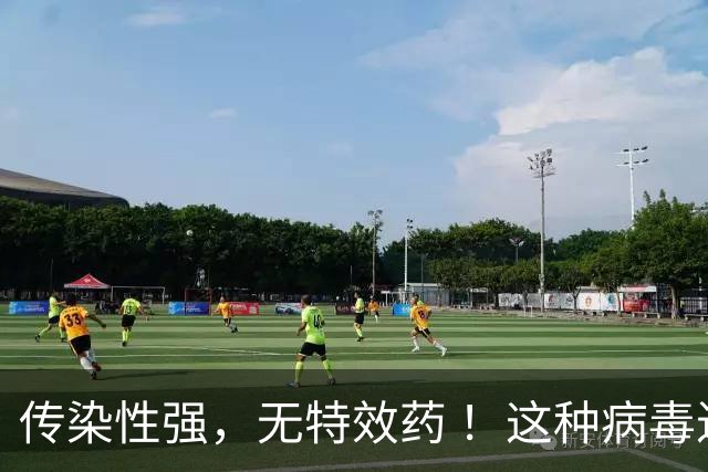 传染性强，无特效药 ！这种病毒进入高发季