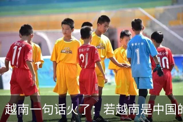 越南一句话火了：若越南是中国的1个省，早就坐上高铁了