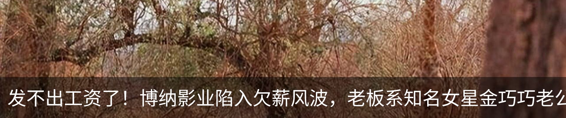 行业资讯