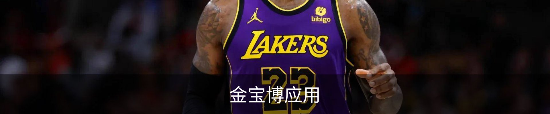 联系金宝博